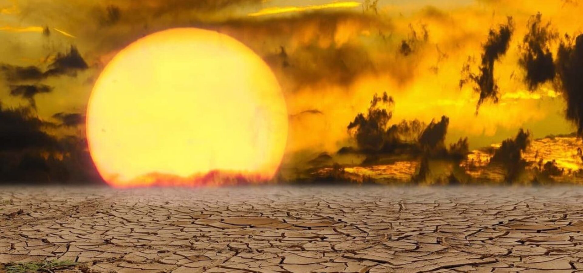 Hot house earth