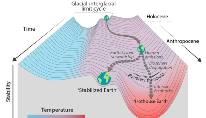 The Anthropocene